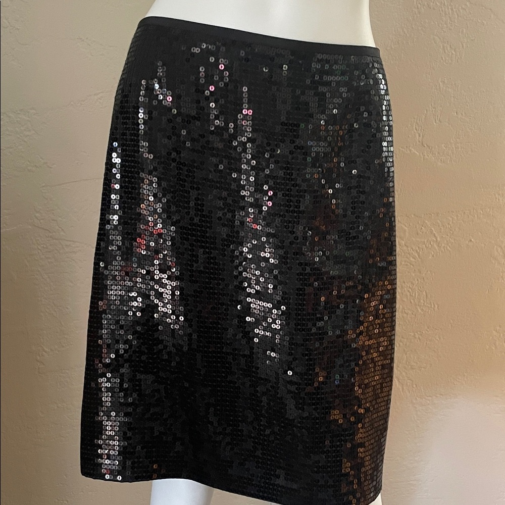 Ann Taylor Elegant Black Sequence Skirt